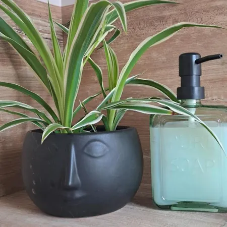 Au Jardin D'a Cote Διαμέρισμα *